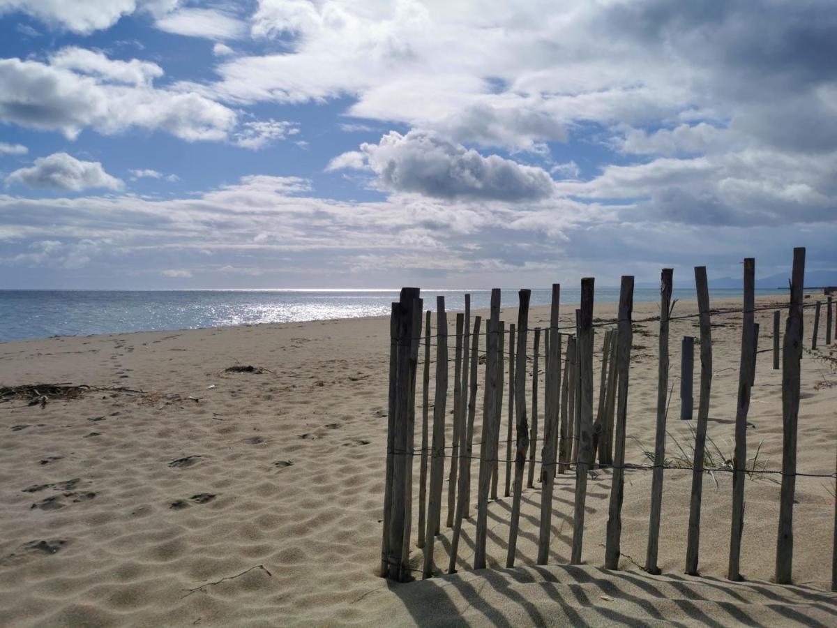 Appartement Soleil Levant - Acces Direct Plage - Terrasse - Une Chambre - Proche Commerces Le Barcarès Kültér fotó
