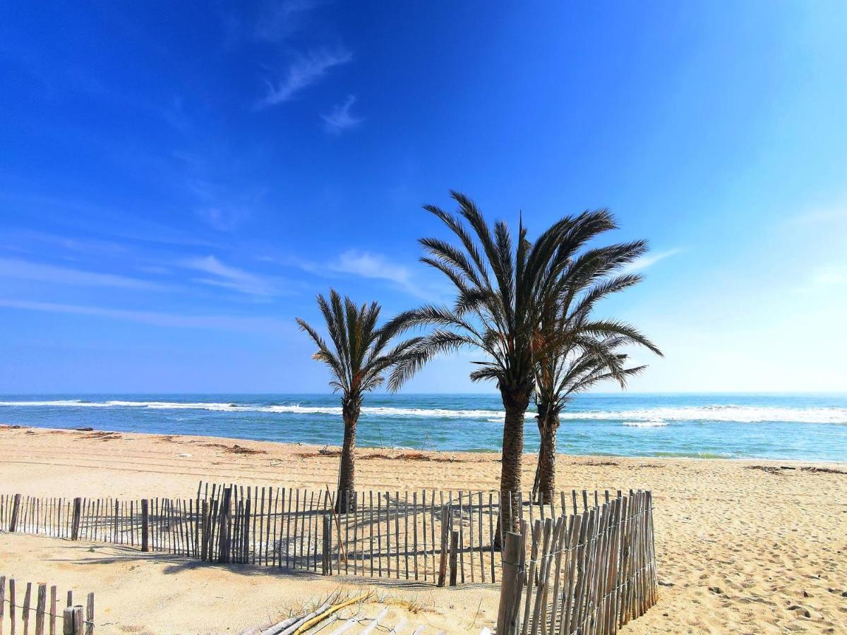 Appartement Soleil Levant - Acces Direct Plage - Terrasse - Une Chambre - Proche Commerces Le Barcarès Kültér fotó
